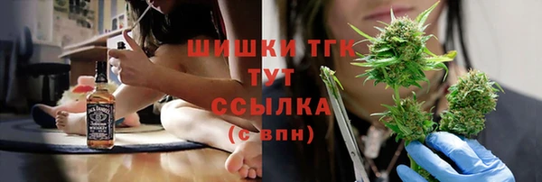 гидра Абаза