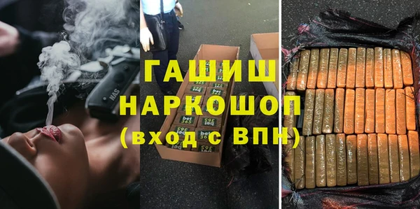 гидра Абаза