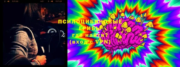 гидра Абаза