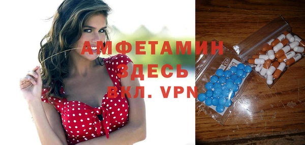 гидра Абаза